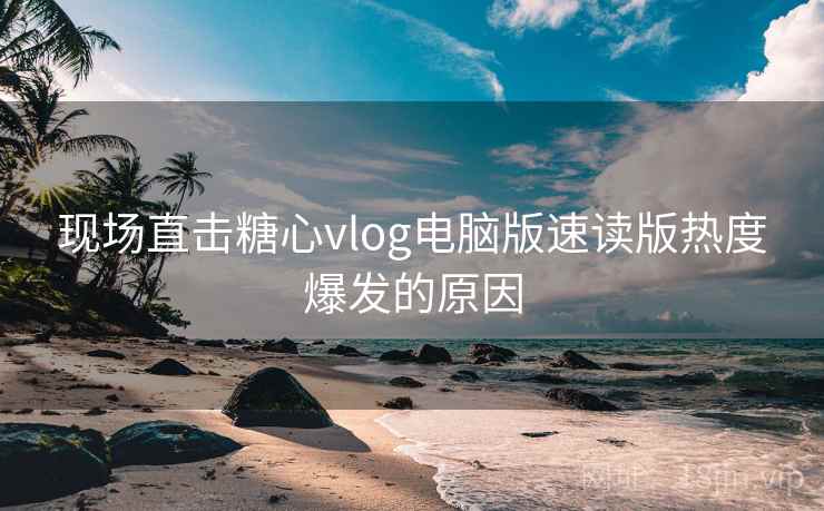 现场直击糖心vlog电脑版速读版热度爆发的原因  第2张