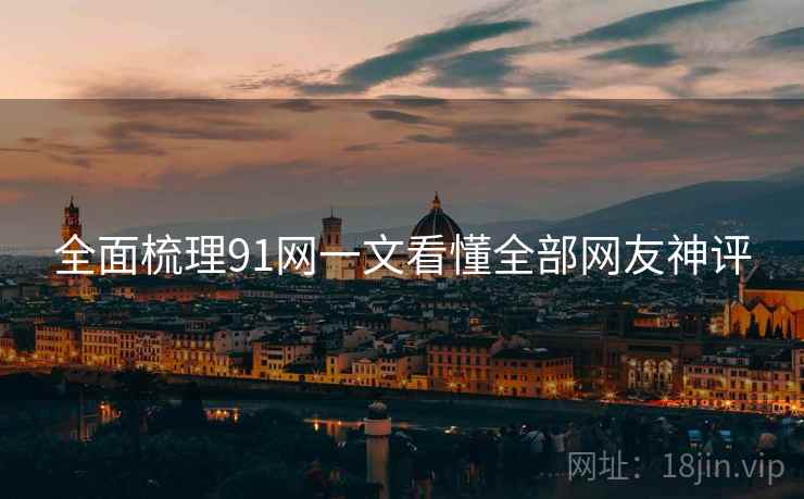 全面梳理91网一文看懂全部网友神评  第2张