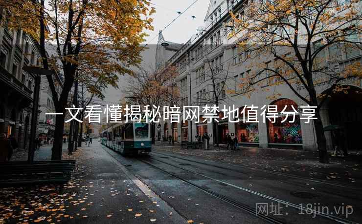 一文看懂揭秘暗网禁地值得分享  第2张