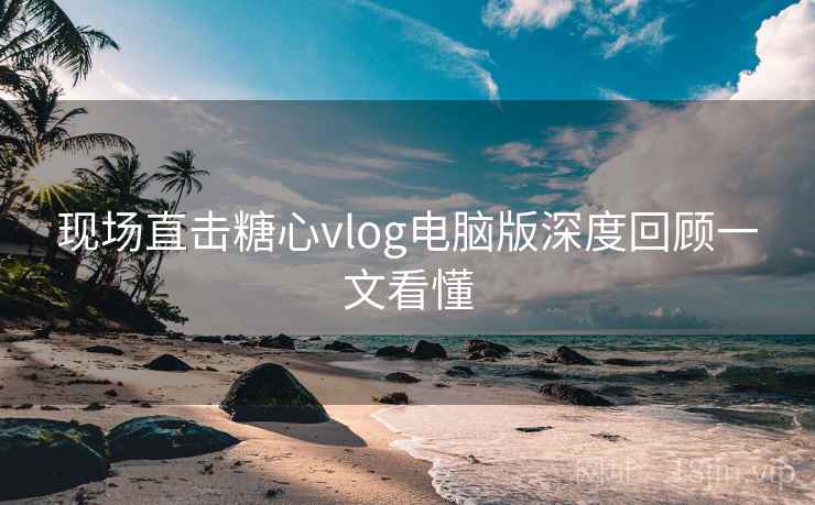 现场直击糖心vlog电脑版深度回顾一文看懂
