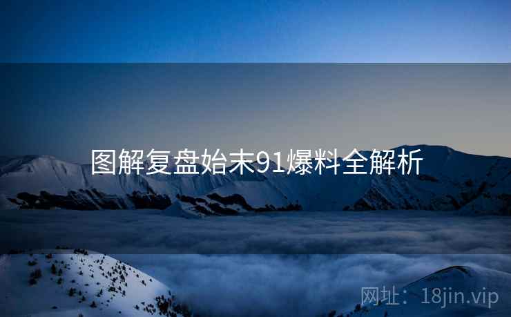 图解复盘始末91爆料全解析