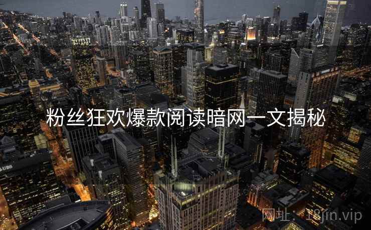 粉丝狂欢爆款阅读暗网一文揭秘