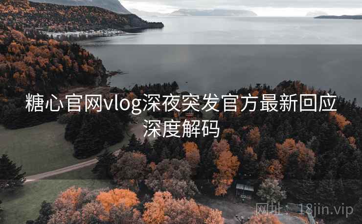糖心官网vlog深夜突发官方最新回应深度解码  第2张