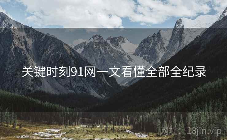 关键时刻91网一文看懂全部全纪录