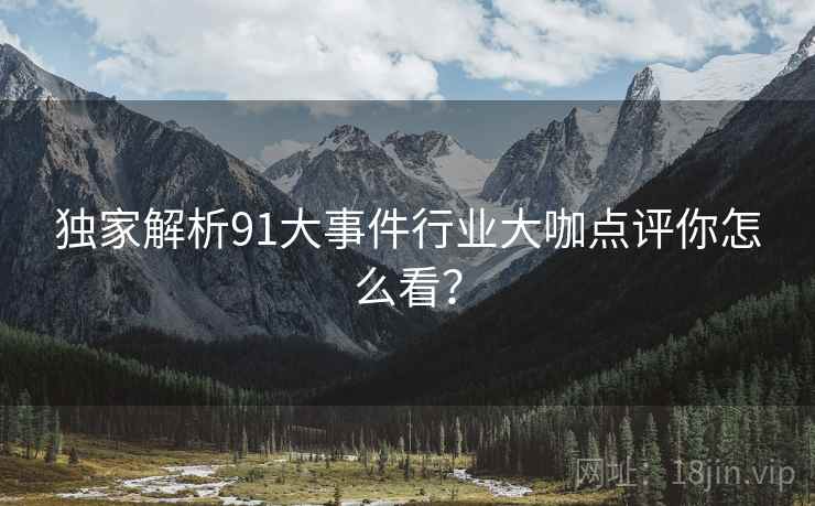 独家解析91大事件行业大咖点评你怎么看？