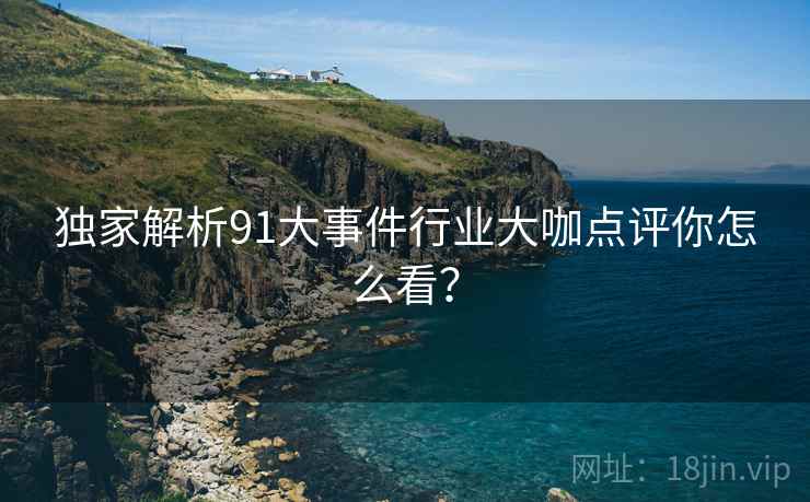 独家解析91大事件行业大咖点评你怎么看？