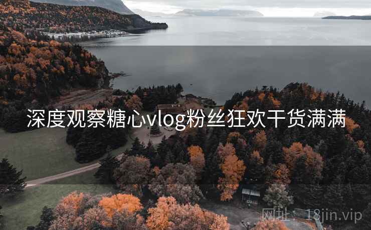 深度观察糖心vlog粉丝狂欢干货满满