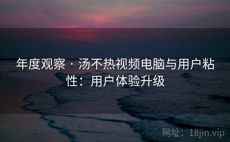 年度观察 · 汤不热视频电脑与用户粘性：用户体验升级