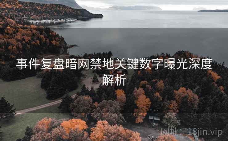 事件复盘暗网禁地关键数字曝光深度解析