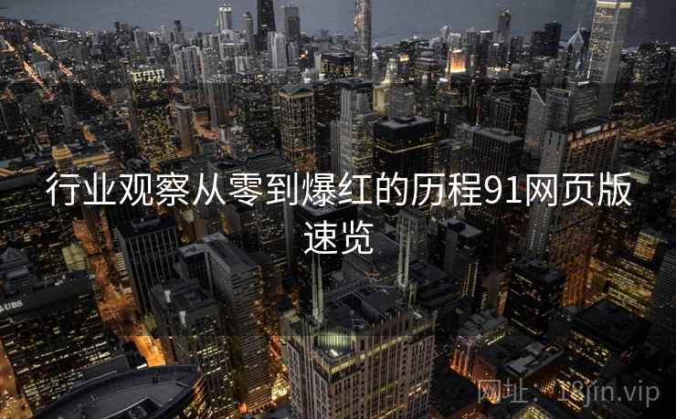 行业观察从零到爆红的历程91网页版速览  第2张