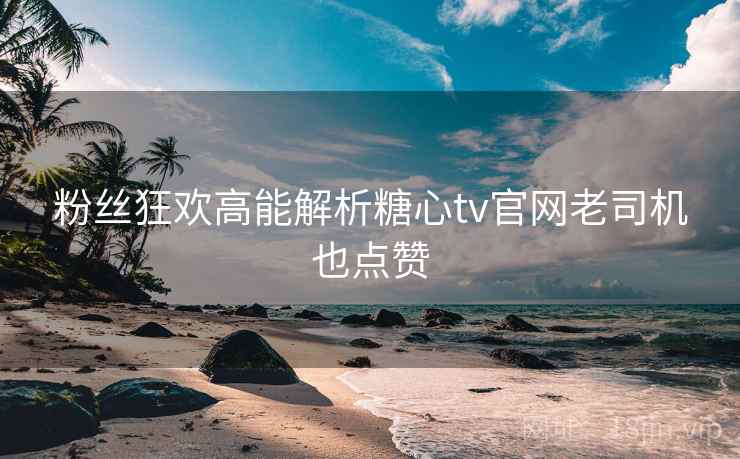 粉丝狂欢高能解析糖心tv官网老司机也点赞  第1张