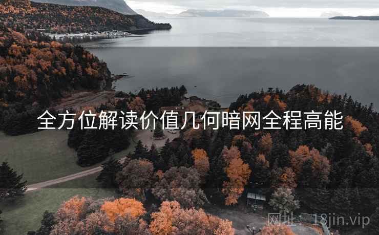全方位解读价值几何暗网全程高能